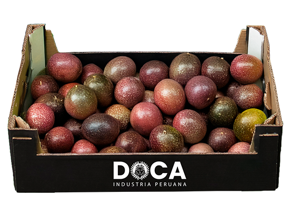 caja-doca2