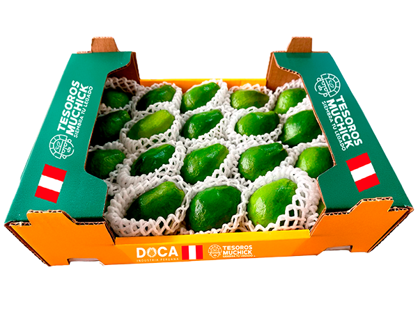 palta