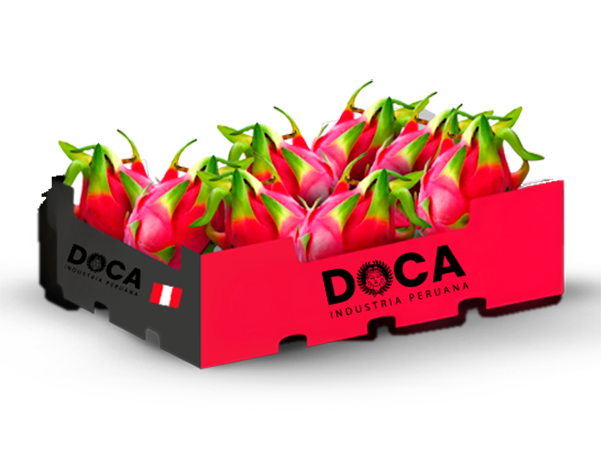 pitahaya